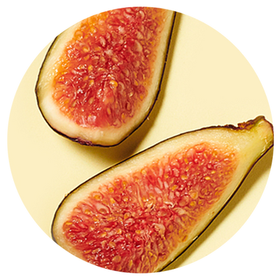 Fig Fruit Extract and Osmolytes